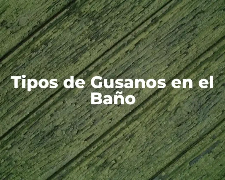 Tipos de Gusanos en el Baño