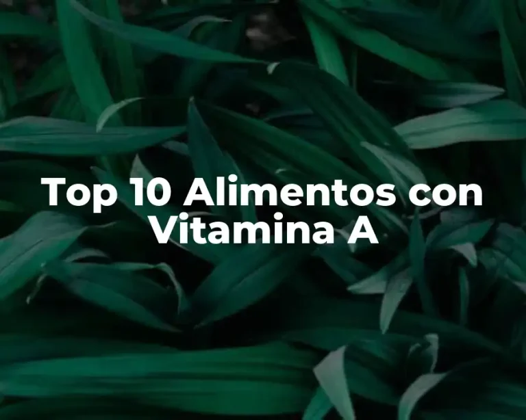 Top 10 Alimentos con Vitamina A