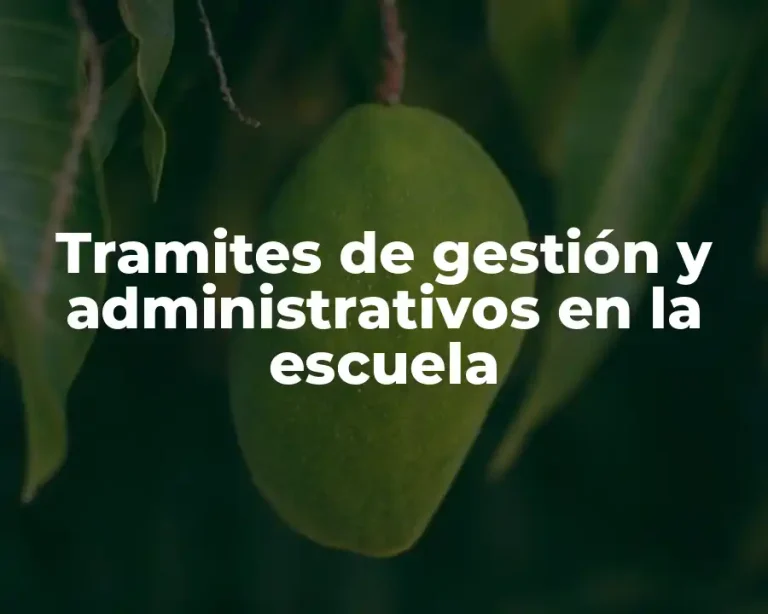 Tramites de gestión y administrativos en la escuela