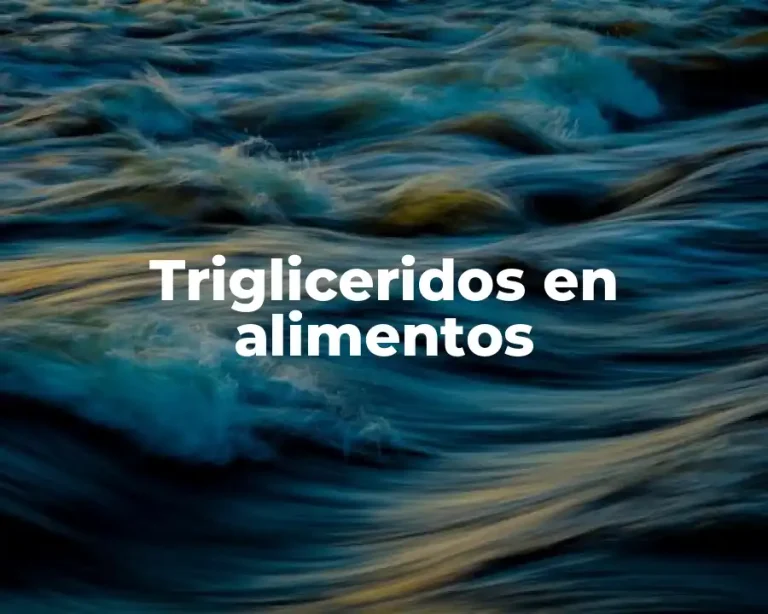 Trigliceridos en alimentos