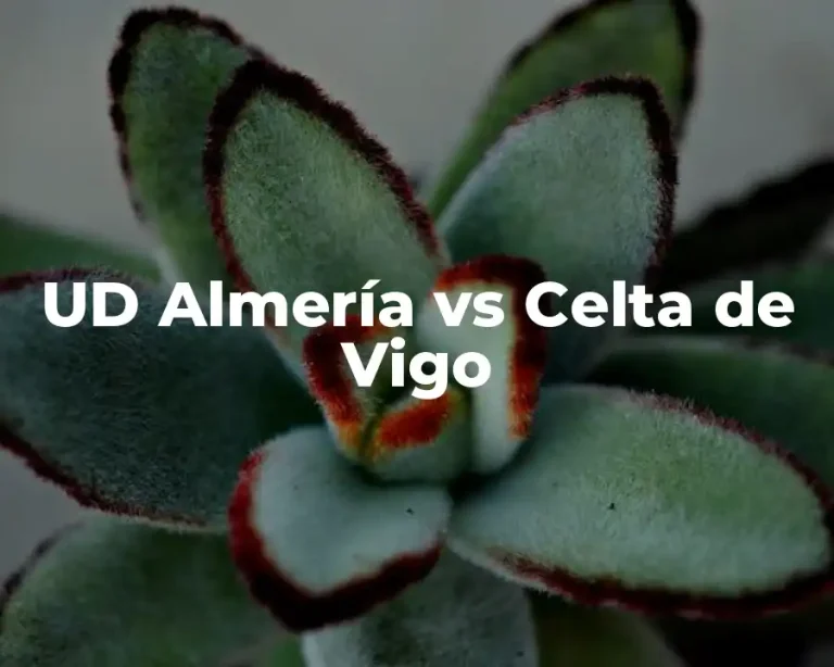UD Almería vs Celta de Vigo