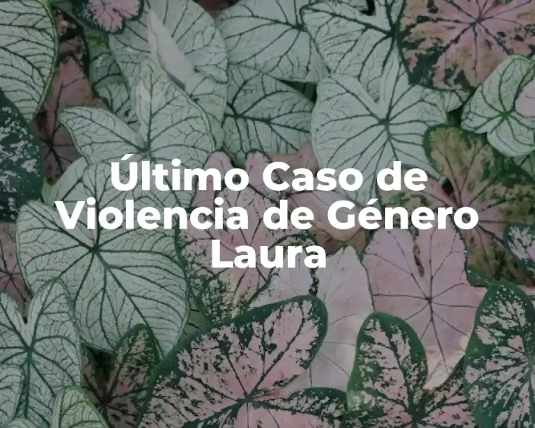 Último Caso de Violencia de Género Laura