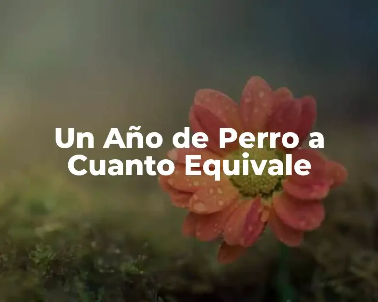 Un Año de Perro a Cuanto Equivale