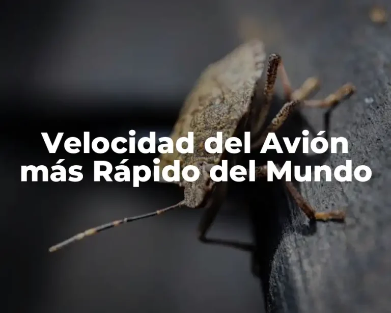 Velocidad del Avión más Rápido del Mundo