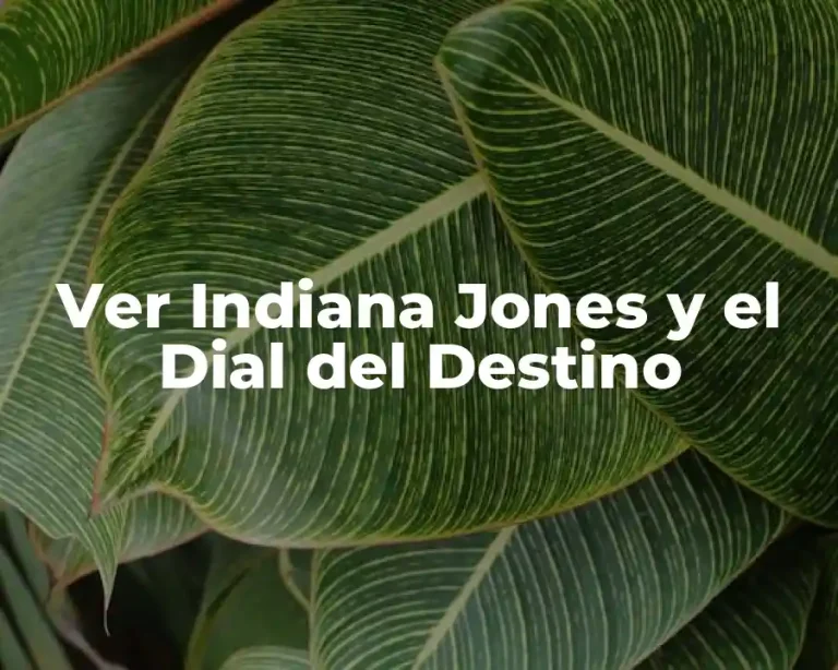 Ver Indiana Jones y el Dial del Destino