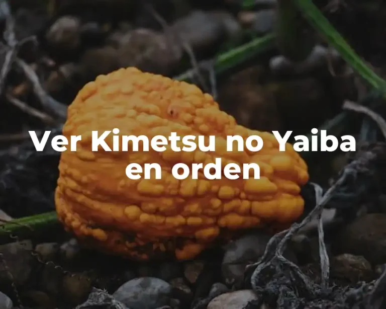 Ver Kimetsu no Yaiba en orden