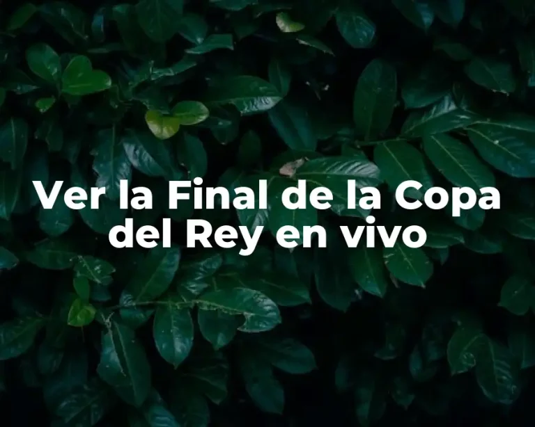 Ver la Final de la Copa del Rey en vivo