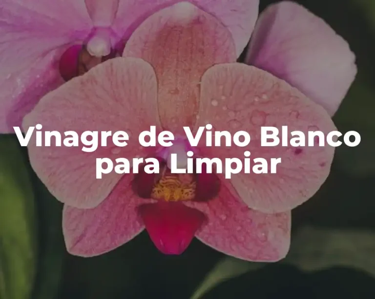 Vinagre de Vino Blanco para Limpiar