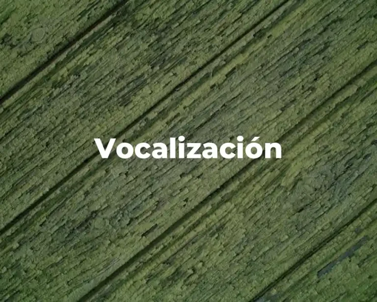 Vocalización