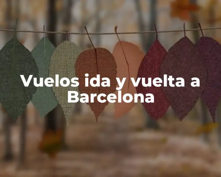 Vuelos ida y vuelta a Barcelona