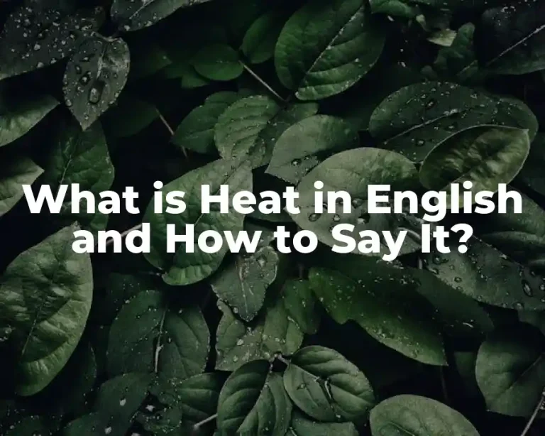 What is Heat in English and How to Say It?