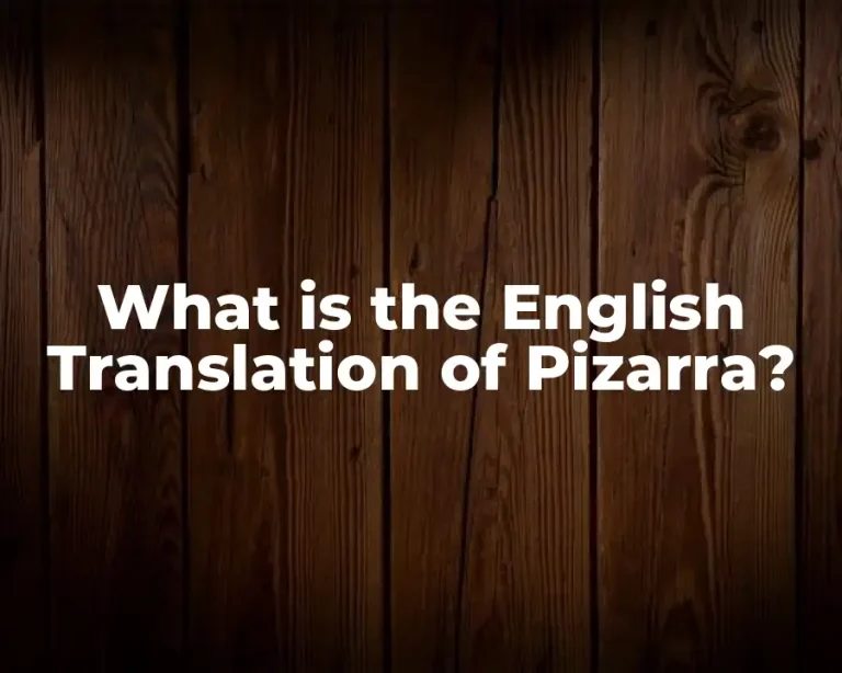 What is the English Translation of Pizarra?