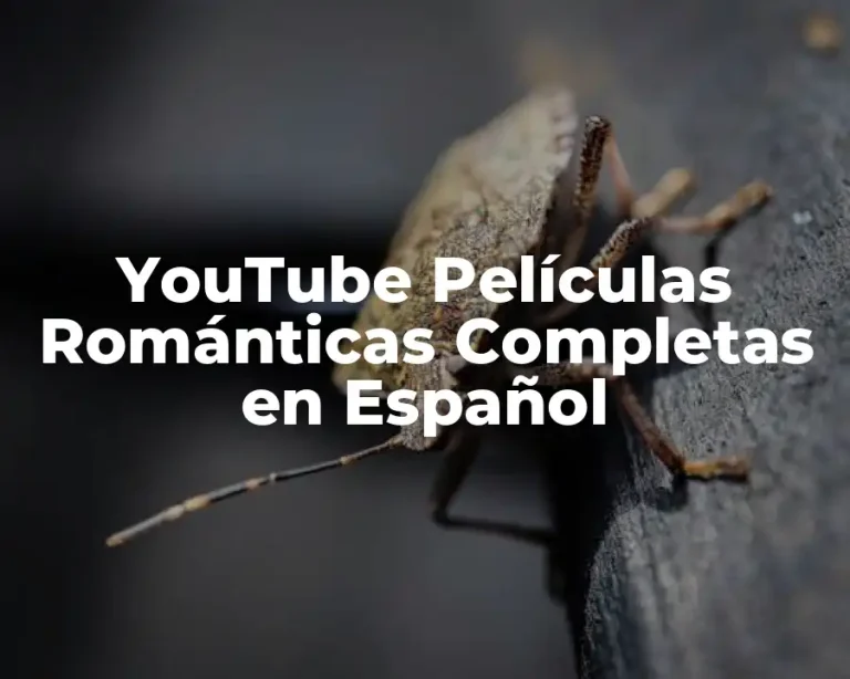 YouTube Películas Románticas Completas en Español